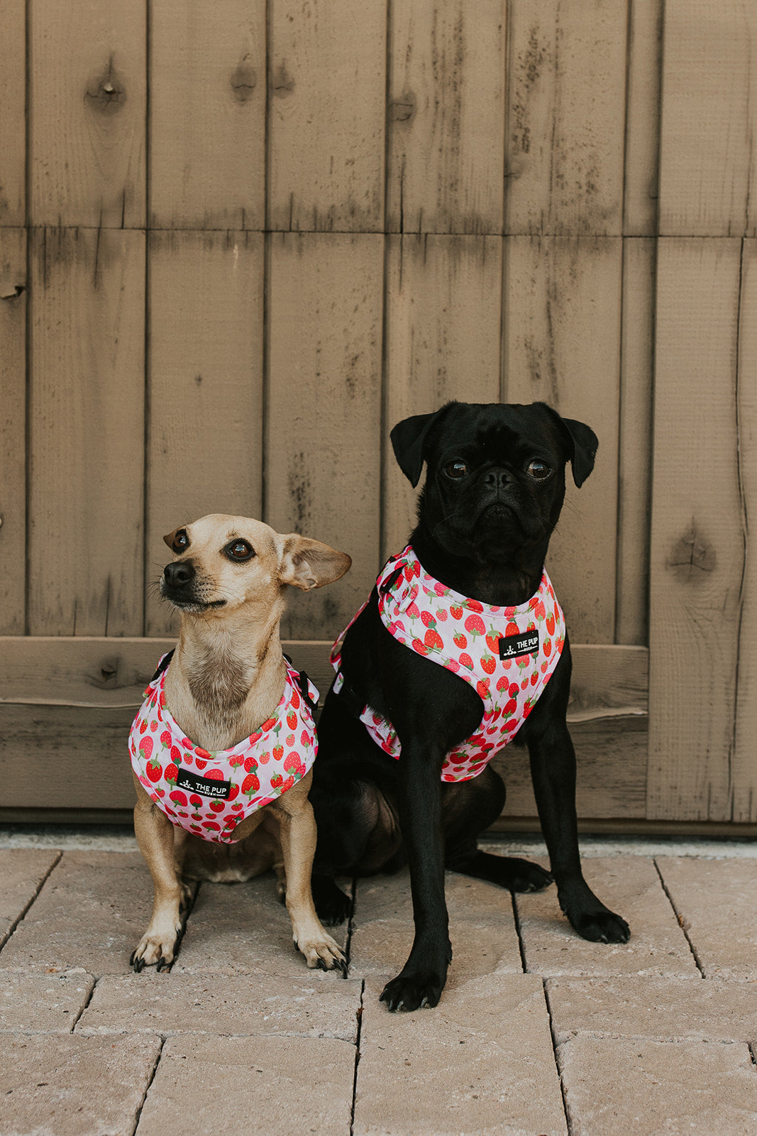 Harnesses
