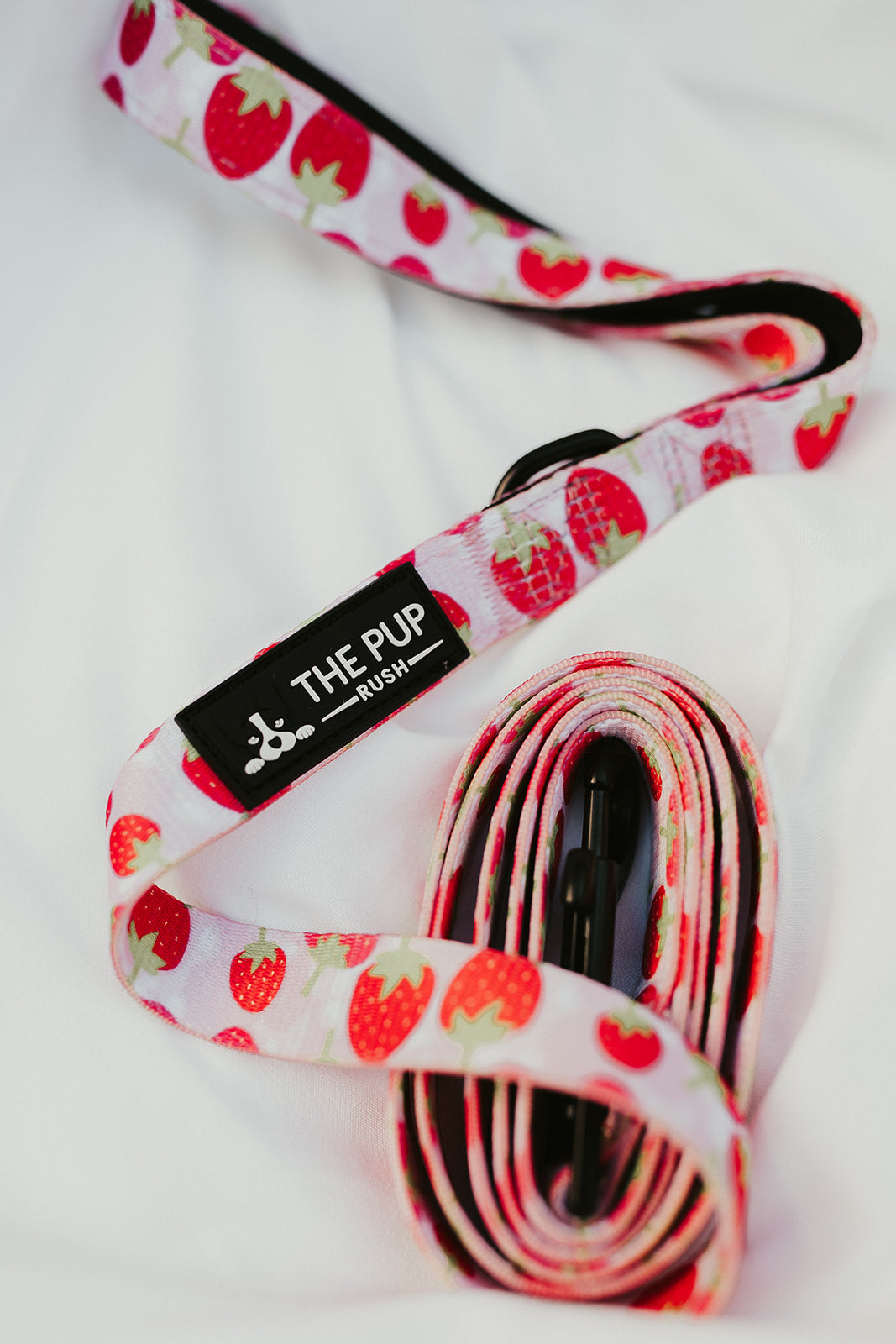 Leashes