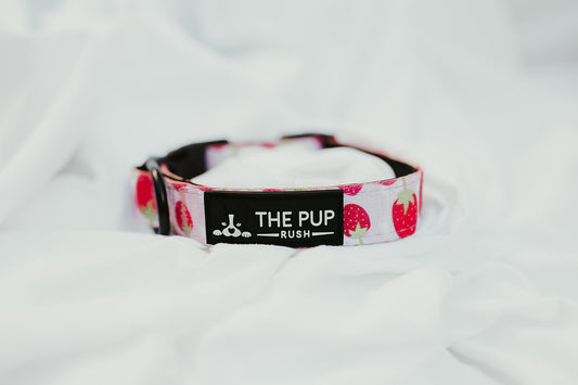 Collars