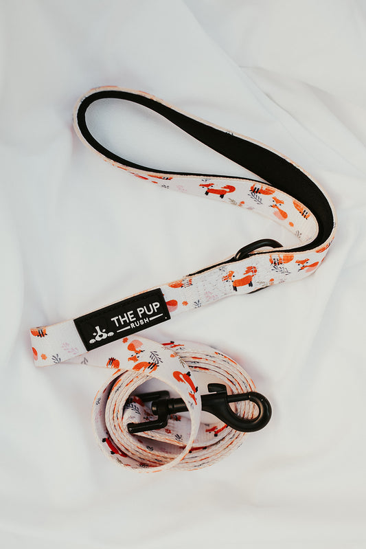 Leashes